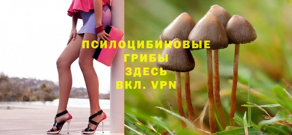 PSILOCYBIN Аркадак