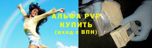 PSILOCYBIN Аркадак