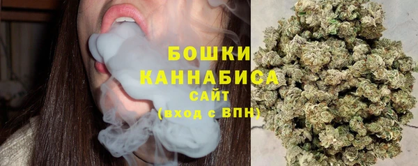 прущие грибы Арсеньев