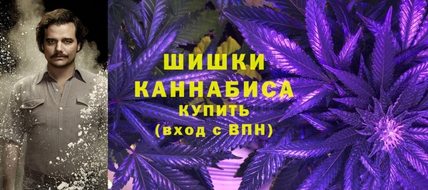 прущие грибы Арсеньев