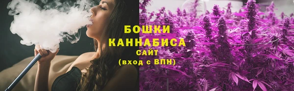 прущие грибы Арсеньев