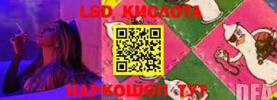 гашик Гусев