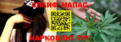 гашик Гусев