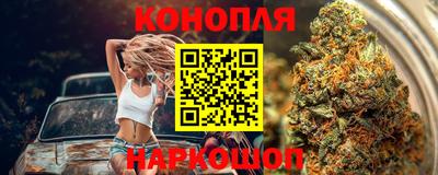 гашик Гусев