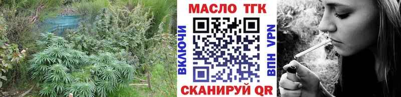 ТГК концентрат  Сыктывкар 