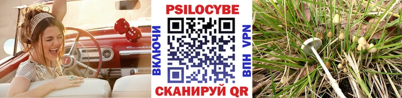Псилоцибиновые грибы Magic Shrooms Сыктывкар