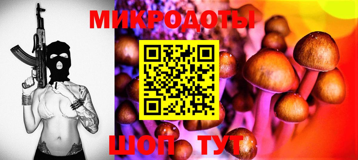 Псилоцибиновые грибы Psilocybine cubensis  Вход с VPN  Галлюциногенные грибы прущие грибы  Сыктывкар 
