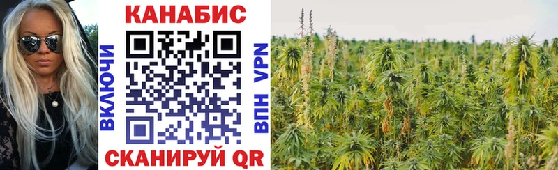 Бошки Шишки марихуана  магазин    Сыктывкар 